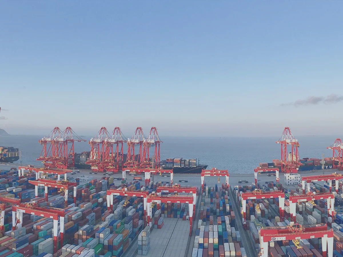 Vast Shanghai container terminal with repeated crane rows and container lanes